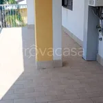 Rent 4 bedroom apartment of 130 m² in Avola