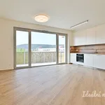 Rent 2 bedroom apartment in Brno