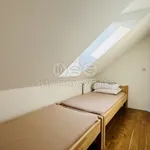 Rent 2 bedroom apartment of 60 m² in Libín