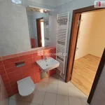 Rent 1 bedroom apartment of 48 m² in Praha