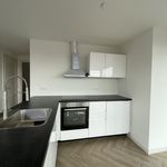 Rent 2 bedroom apartment of 75 m² in Zwolle