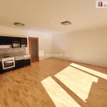 Rent 1 bedroom apartment of 48 m² in Prague