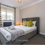 Rent 5 bedroom house in North East England