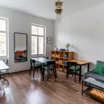 Rent 1 bedroom apartment in Vienna