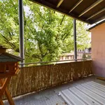 Rent 3 bedroom apartment of 75 m² in Nuremberg