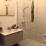 Instapklaar gelijkvloers appartement in Genk