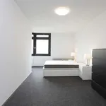 Rent 1 bedroom apartment of 68 m² in berlin