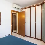 Rent 1 bedroom apartment in Milan