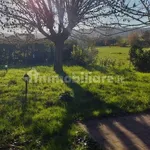 Single-family detached house via Arenella,, Centro, Santo Stefano di Magra