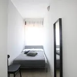 Rent 4 bedroom apartment in Modena