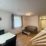 Rent 2 bedroom apartment of 39 m² in Linz