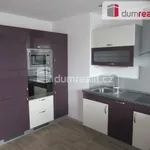 Rent 2 bedroom apartment in Capital City of Prague