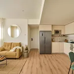 Rent 4 bedroom apartment in Madrid