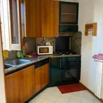 Rent 4 bedroom apartment of 120 m² in Ragusa