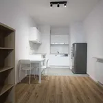 Rent 3 bedroom apartment in warsaw