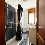 Rent 2 bedroom apartment of 50 m² in Pisa