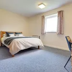 Rent 1 bedroom apartment in East Midlands