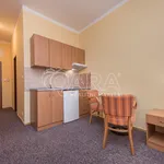 Rent 1 bedroom apartment of 25 m² in Capital City of Prague