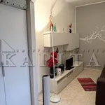 Rent 1 bedroom apartment of 48 m² in Cinisello Balsamo