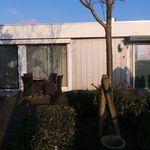 Rent 1 bedroom house of 15 m² in Dorp Noord