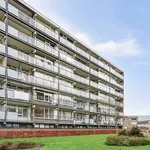 Huur 3 slaapkamer appartement van 81 m² in Aalderinkshoek Zuidwest