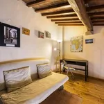 Rent 1 bedroom apartment in florence