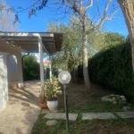 Affitto 4 camera casa di 130 m² in Ostuni