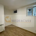 Rent 2 bedroom apartment of 50 m² in Rome