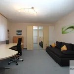 Rent 3 bedroom apartment of 110 m² in Nuremberg