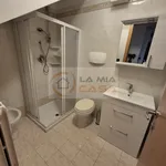 Rent 1 bedroom apartment of 170 m² in legnaro