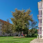 Rent 4 bedroom apartment of 74 m² in Leipzig