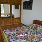 Rent a room of 107 m² in Brno