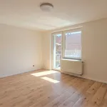 Rent 1 bedroom apartment in Prague