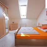 Rent 2 bedroom apartment of 51 m² in Žďár nad Sázavou