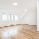 Rent 1 bedroom apartment of 35 m² in Capital City of Prague