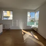 Rent 2 bedroom apartment of 66 m² in Praha