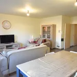 Rent 1 bedroom apartment in Waregem