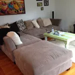 Rent 3 bedroom house in Mount Maunganui