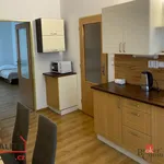 Rent 1 bedroom apartment of 46 m² in Hradec Králové