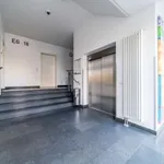 Rent 1 bedroom apartment of 45 m² in berlin