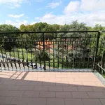 Rent 3 bedroom apartment of 87 m² in Torino