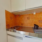 Rent 1 bedroom apartment of 26 m² in Lyon