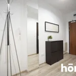 Rent 2 bedroom apartment of 53 m² in Wrocław