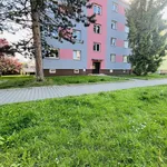 Rent 3 bedroom apartment of 50 m² in Ostrava