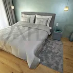 Rent 4 bedroom apartment of 250 m² in Prague