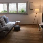 Rent 1 bedroom apartment of 50 m² in Nuremberg