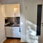 Pronajměte si 1 ložnic/e byt o rozloze 45 m² v prague