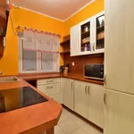 Rent 1 bedroom apartment of 47 m² in Hradec Králové