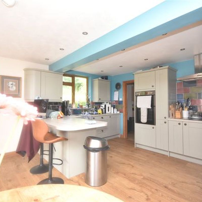 Detached house to rent in Sollers Hope, Hereford, Herefordshire HR1 Lugwardine