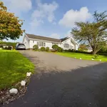 Rent 4 bedroom house in Wales